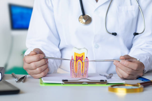 Best Emergency Treatment for Dental Infections or Abscesses in Waelder, TX